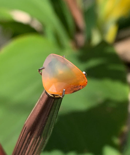 Cornaline, pierre taillée de 10mm x10 x4 - 2,5 carats. Parfait en bijouterie, collection ,exposition...