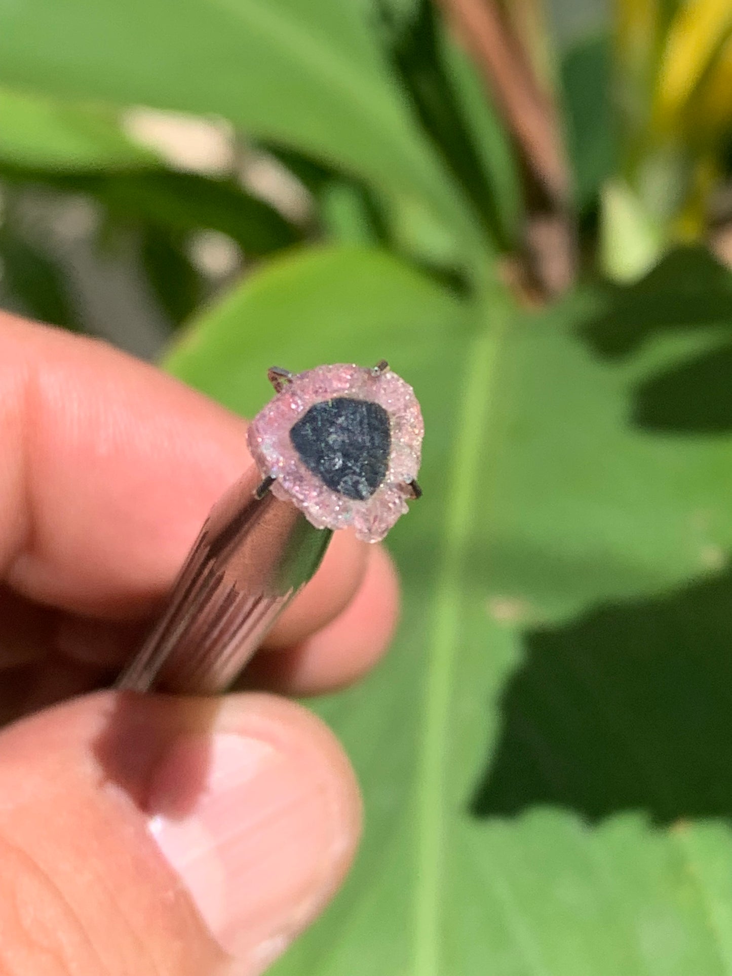 Tourmaline melon d'eau/ pastèque, de 9mm x8 x2 environ - 0,5 carat. Parfait en bijouterie, collection ,exposition...