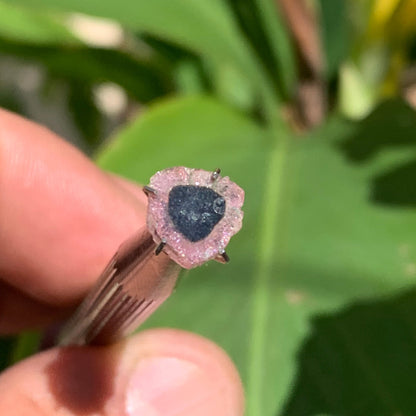Tourmaline melon d'eau/ pastèque, de 9mm x8 x2 environ - 0,5 carat. Parfait en bijouterie, collection ,exposition...