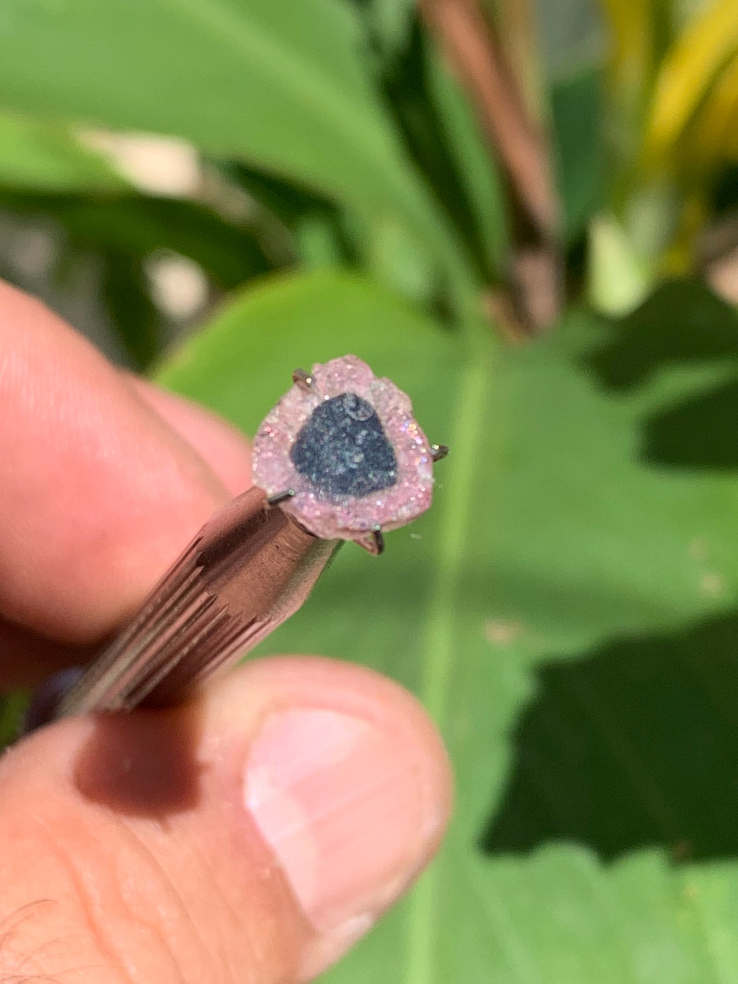 Tourmaline melon d'eau/ pastèque, de 9mm x8 x2 environ - 0,5 carat. Parfait en bijouterie, collection ,exposition...