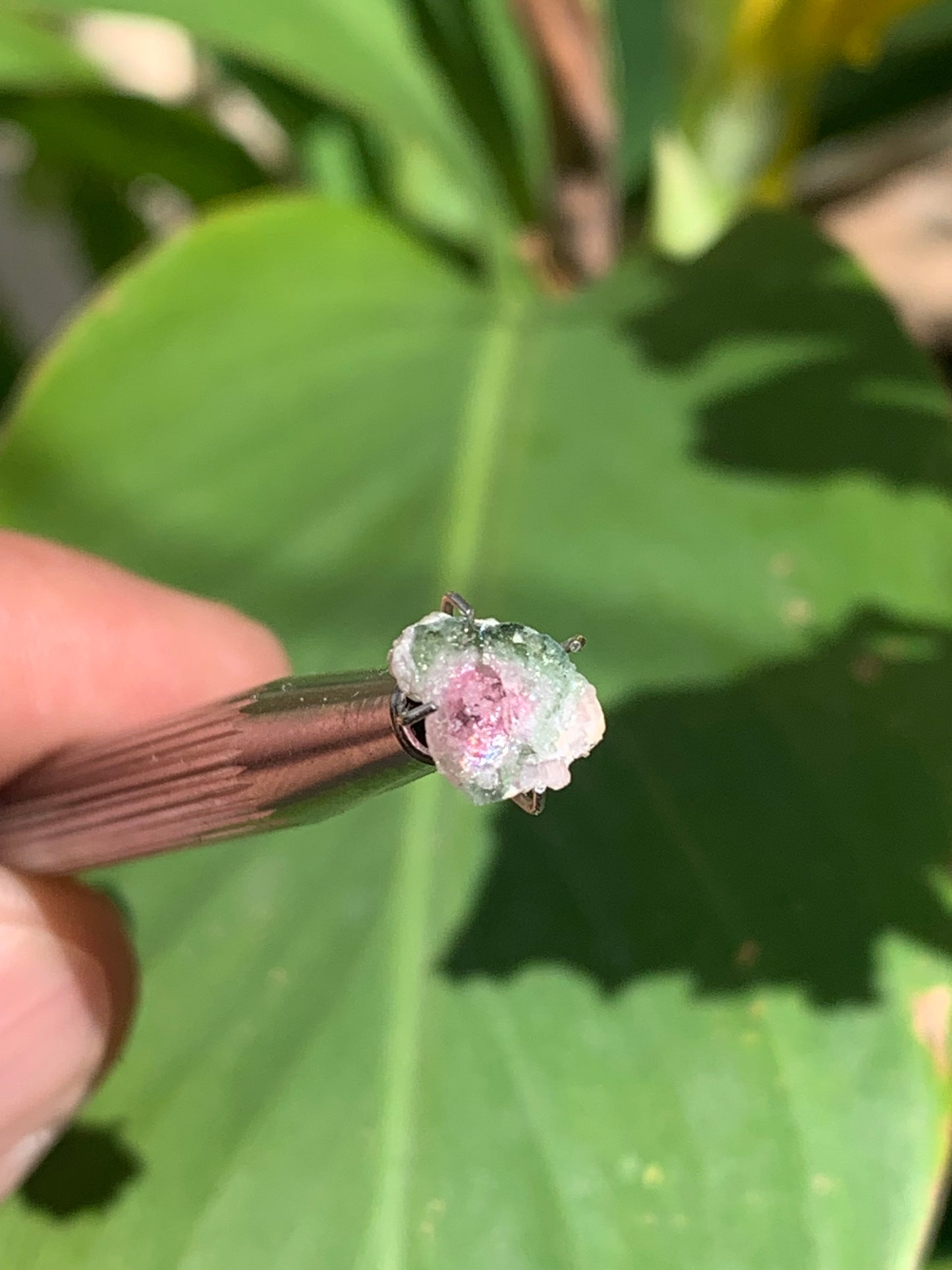 Tourmaline melon d'eau/ pastèque, de 10mm x8 x3 environ - 1,5 carat. Parfait en bijouterie, collection ,exposition...
