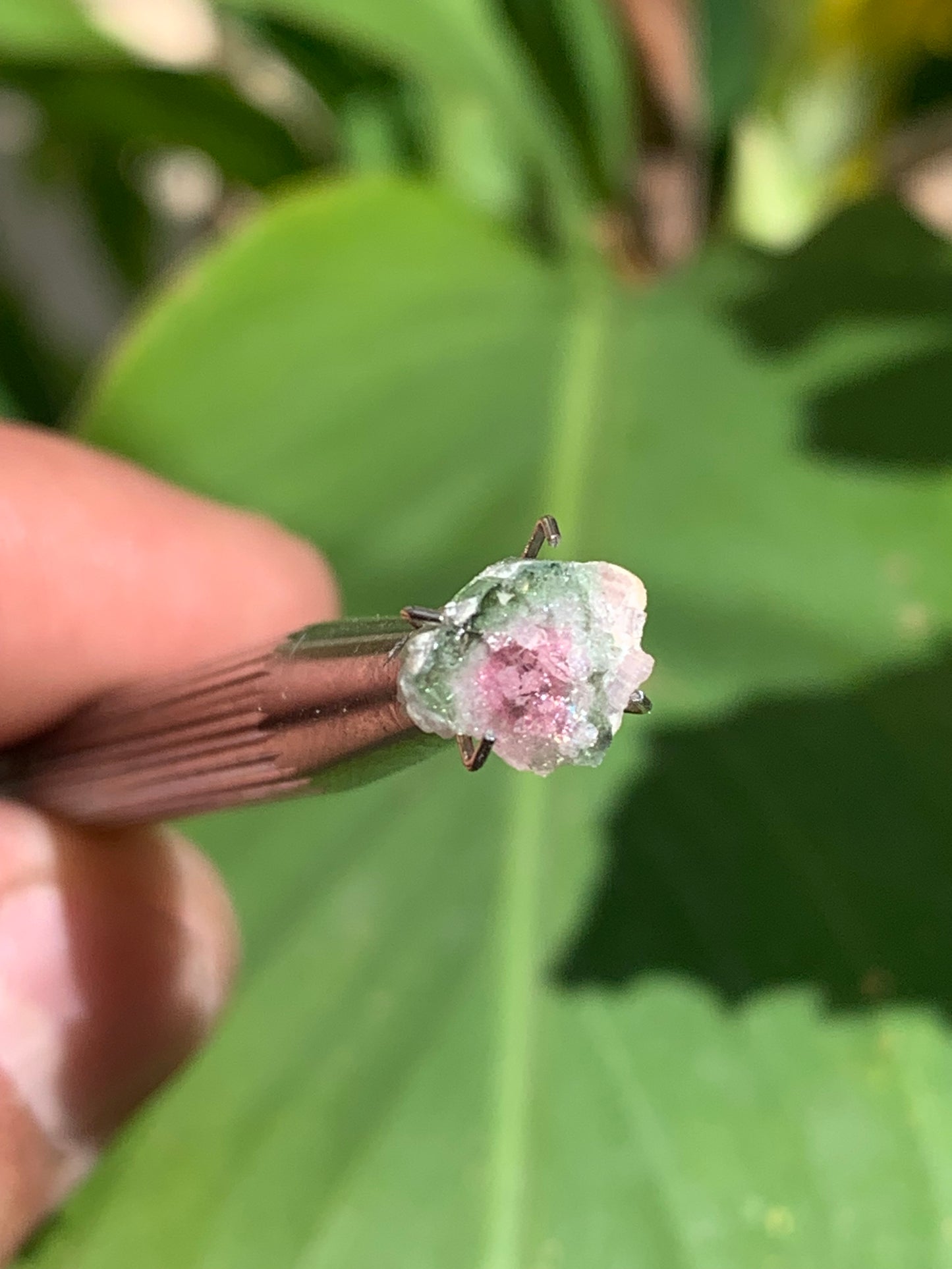 Tourmaline melon d'eau/ pastèque, de 10mm x8 x3 environ - 1,5 carat. Parfait en bijouterie, collection ,exposition...