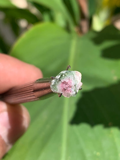 Tourmaline melon d'eau/ pastèque, de 10mm x8 x3 environ - 1,5 carat. Parfait en bijouterie, collection ,exposition...