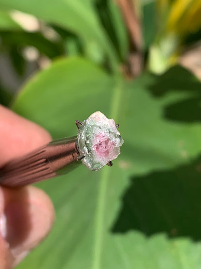 Tourmaline melon d'eau/ pastèque, de 10mm x8 x3 environ - 1,5 carat. Parfait en bijouterie, collection ,exposition...