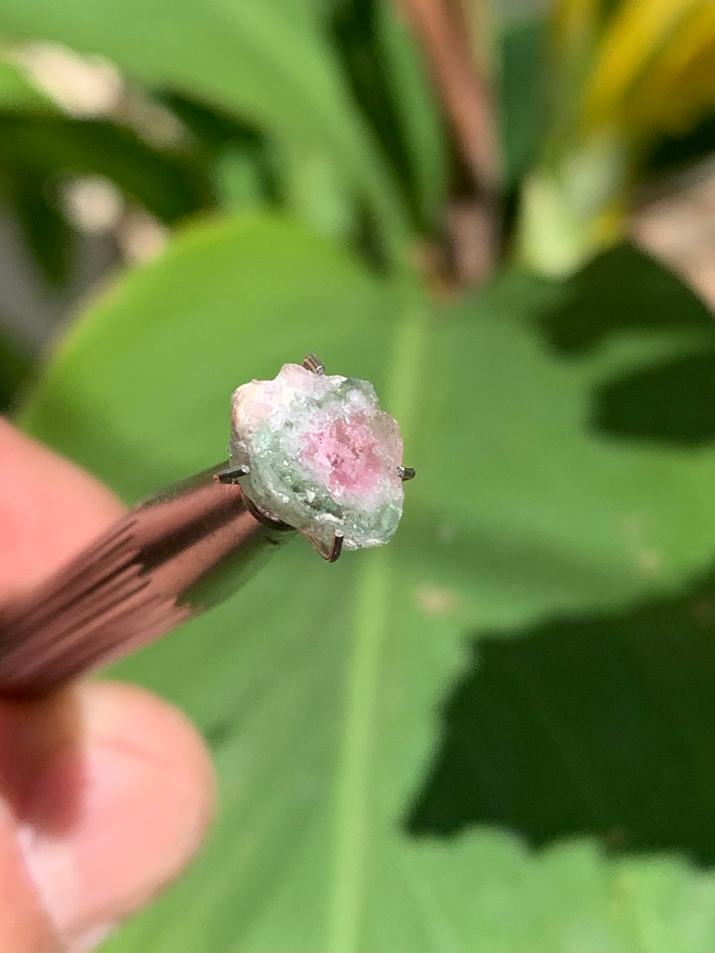 Tourmaline melon d'eau/ pastèque, de 10mm x8 x3 environ - 1,5 carat. Parfait en bijouterie, collection ,exposition...