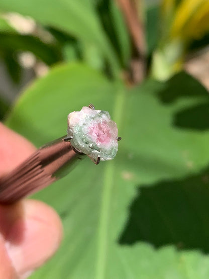 Tourmaline melon d'eau/ pastèque, de 10mm x8 x3 environ - 1,5 carat. Parfait en bijouterie, collection ,exposition...