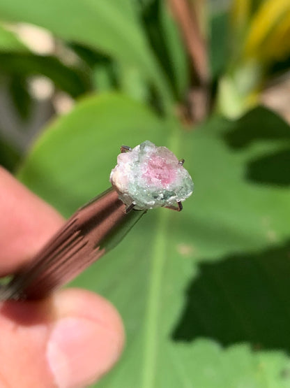 Tourmaline melon d'eau/ pastèque, de 10mm x8 x3 environ - 1,5 carat. Parfait en bijouterie, collection ,exposition...