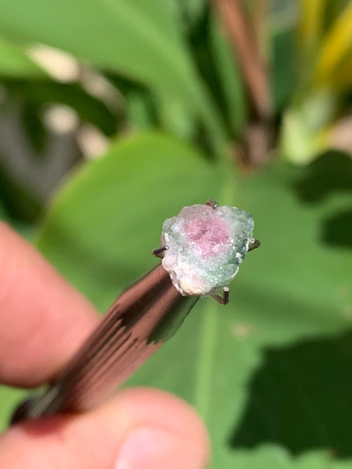 Tourmaline melon d'eau/ pastèque, de 10mm x8 x3 environ - 1,5 carat. Parfait en bijouterie, collection ,exposition...
