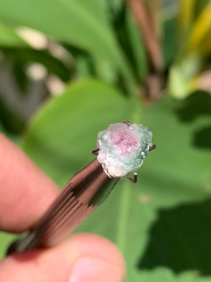 Tourmaline melon d'eau/ pastèque, de 10mm x8 x3 environ - 1,5 carat. Parfait en bijouterie, collection ,exposition...