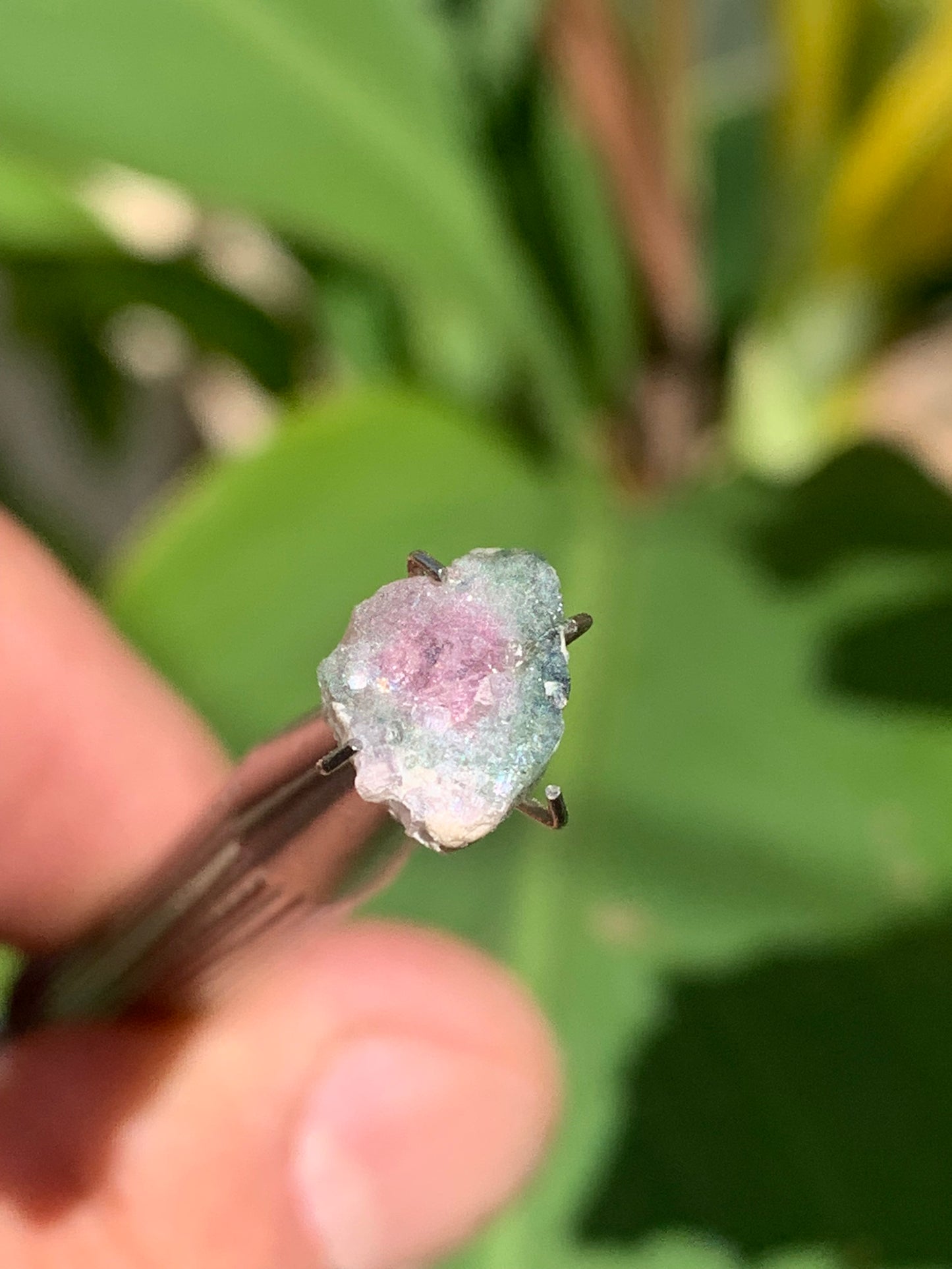 Tourmaline melon d'eau/ pastèque, de 10mm x8 x3 environ - 1,5 carat. Parfait en bijouterie, collection ,exposition...