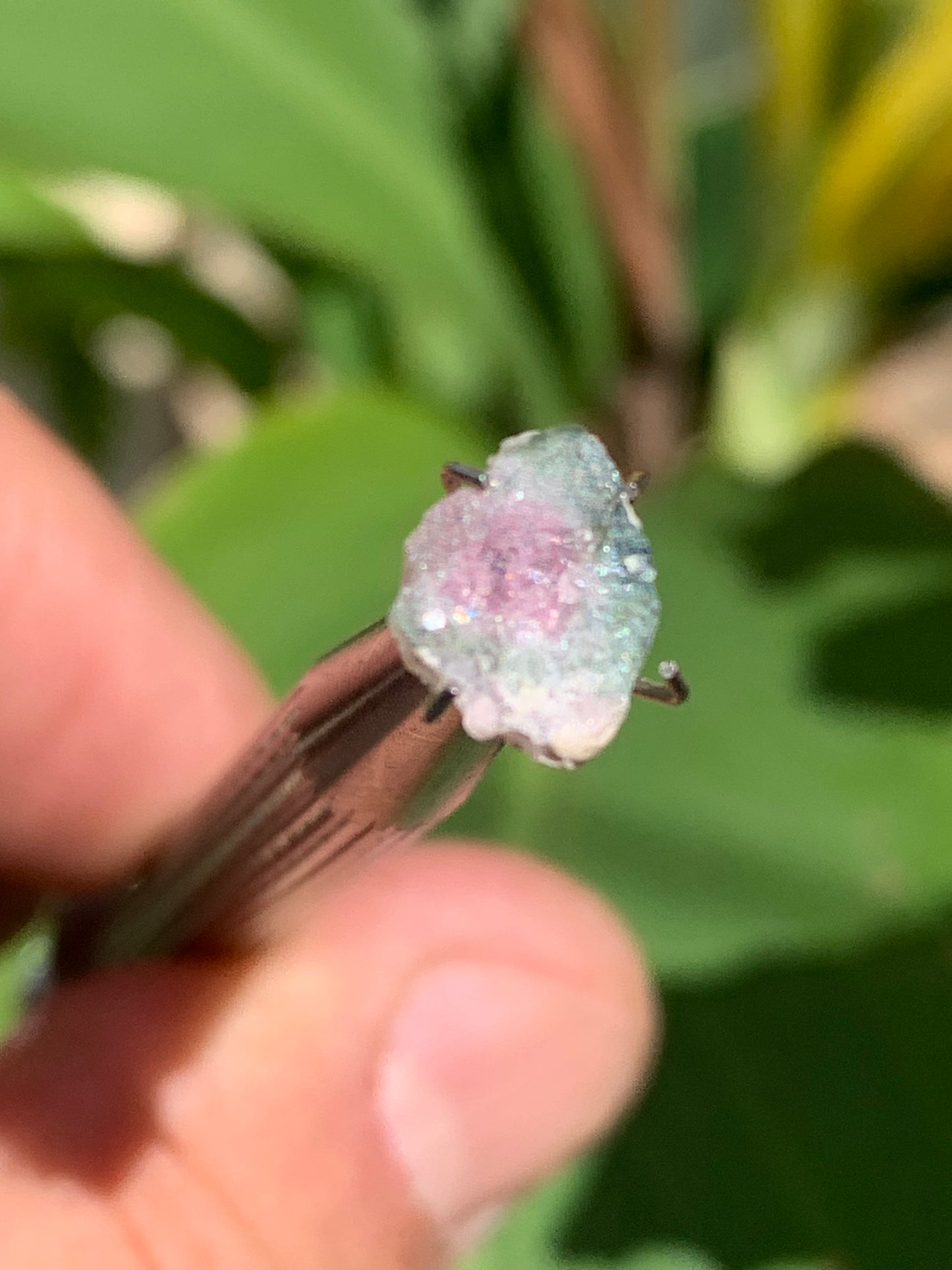 Tourmaline melon d'eau/ pastèque, de 10mm x8 x3 environ - 1,5 carat. Parfait en bijouterie, collection ,exposition...