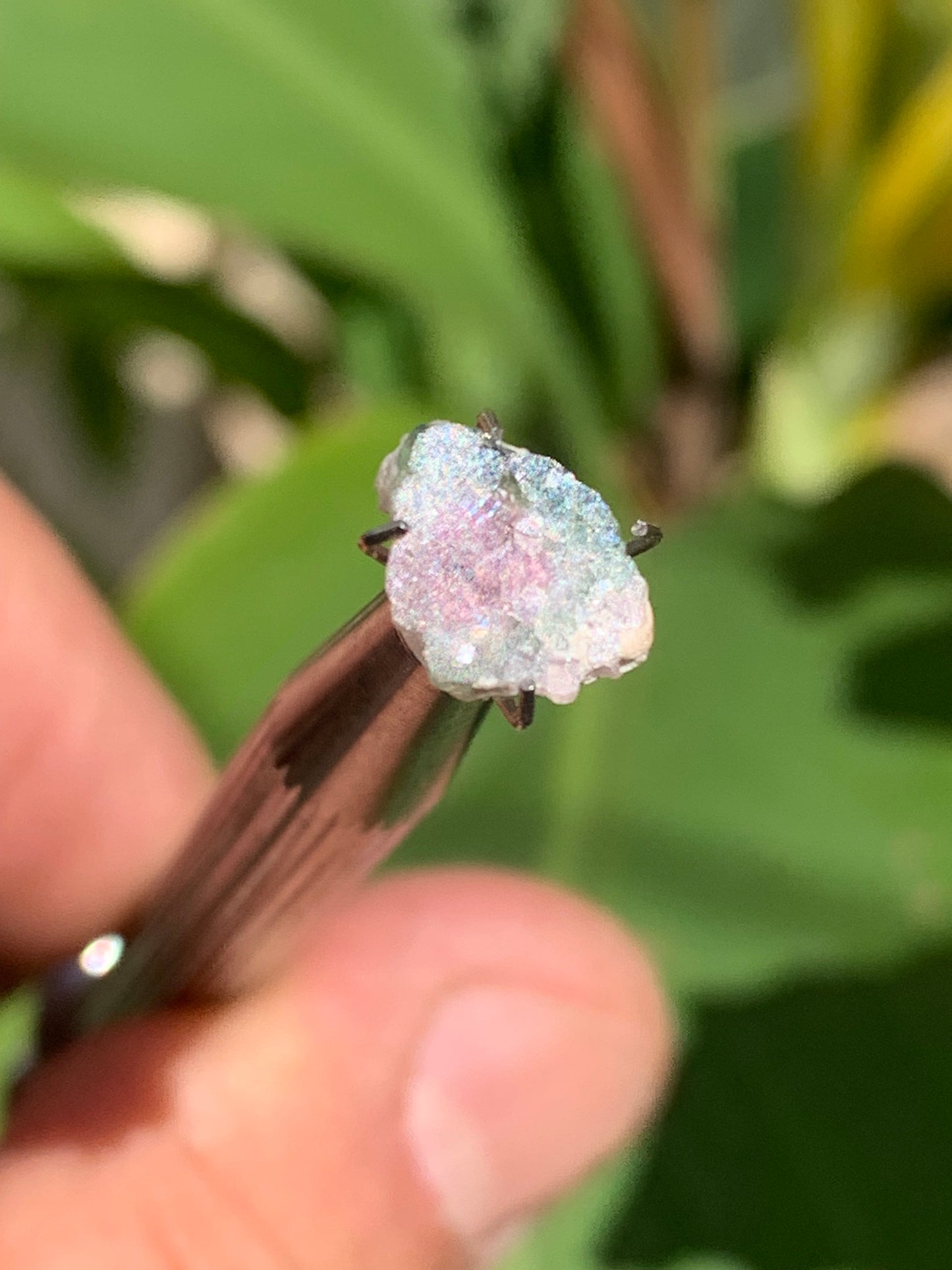 Tourmaline melon d'eau/ pastèque, de 10mm x8 x3 environ - 1,5 carat. Parfait en bijouterie, collection ,exposition...