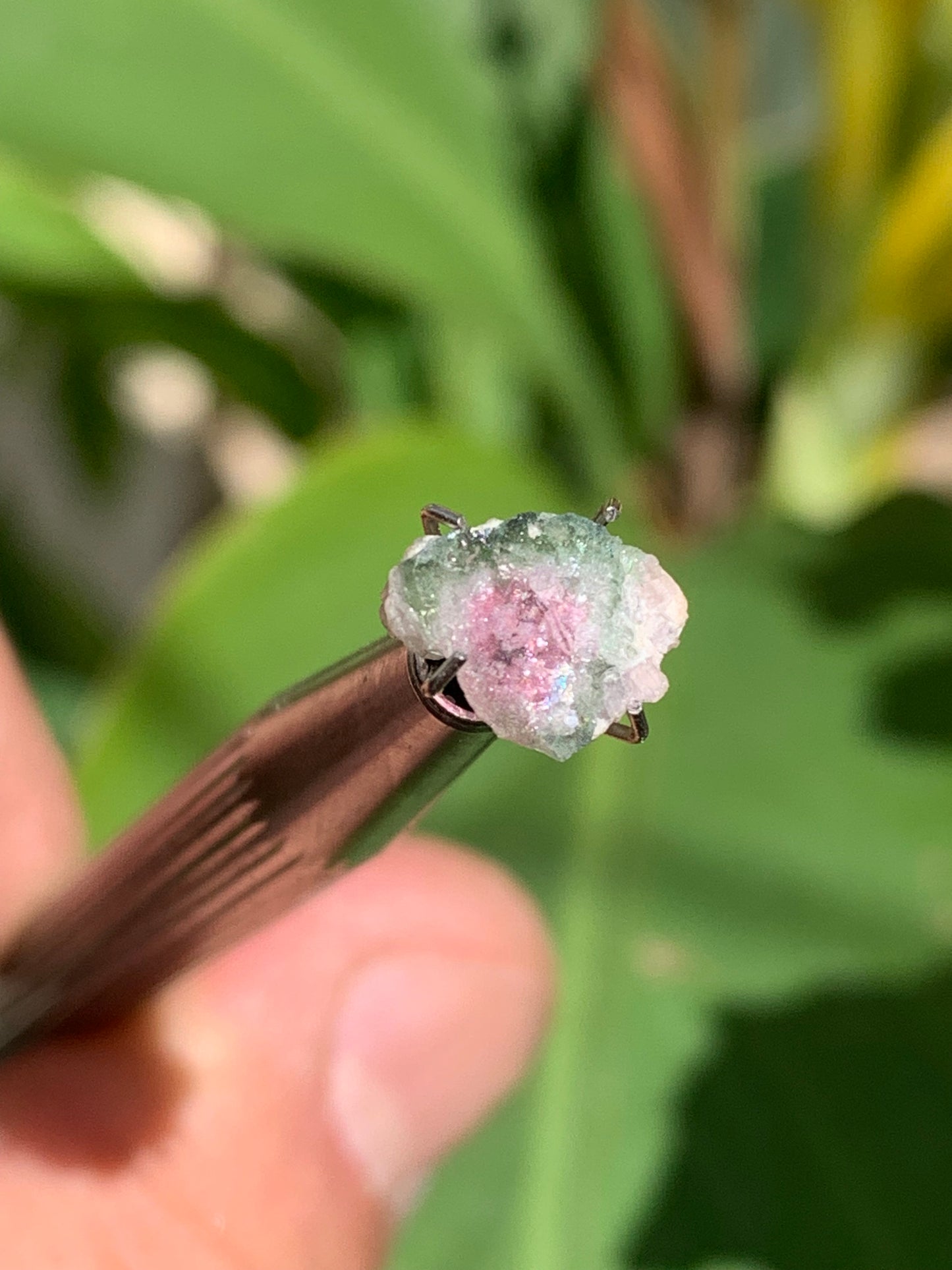 Tourmaline melon d'eau/ pastèque, de 10mm x8 x3 environ - 1,5 carat. Parfait en bijouterie, collection ,exposition...