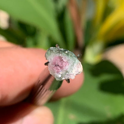 Tourmaline melon d'eau/ pastèque, de 10mm x8 x3 environ - 1,5 carat. Parfait en bijouterie, collection ,exposition...