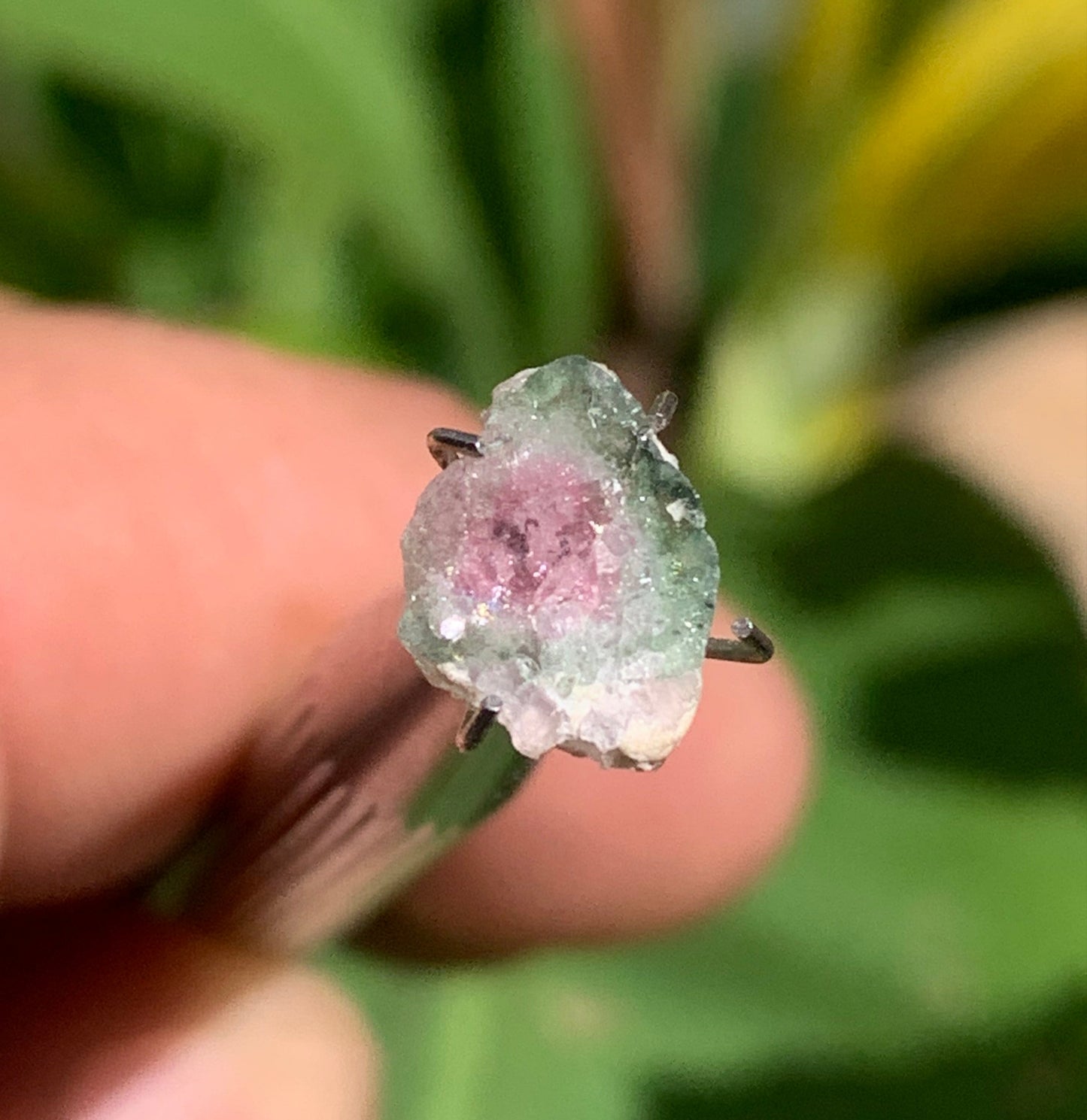 Tourmaline melon d'eau/ pastèque, de 10mm x8 x3 environ - 1,5 carat. Parfait en bijouterie, collection ,exposition...