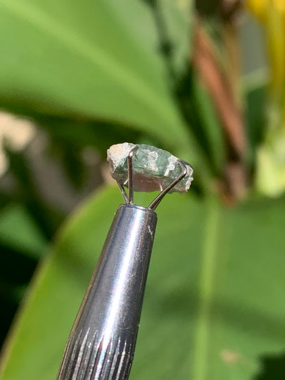 Tourmaline melon d'eau/ pastèque, de 10mm x8 x3 environ - 1,5 carat. Parfait en bijouterie, collection ,exposition...