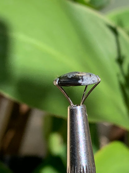 Obsidienne neige, cabochon de 13mm x11 x3 - 0,6 grammes/ 3 carats. Parfait en bijouterie, collection ,exposition...