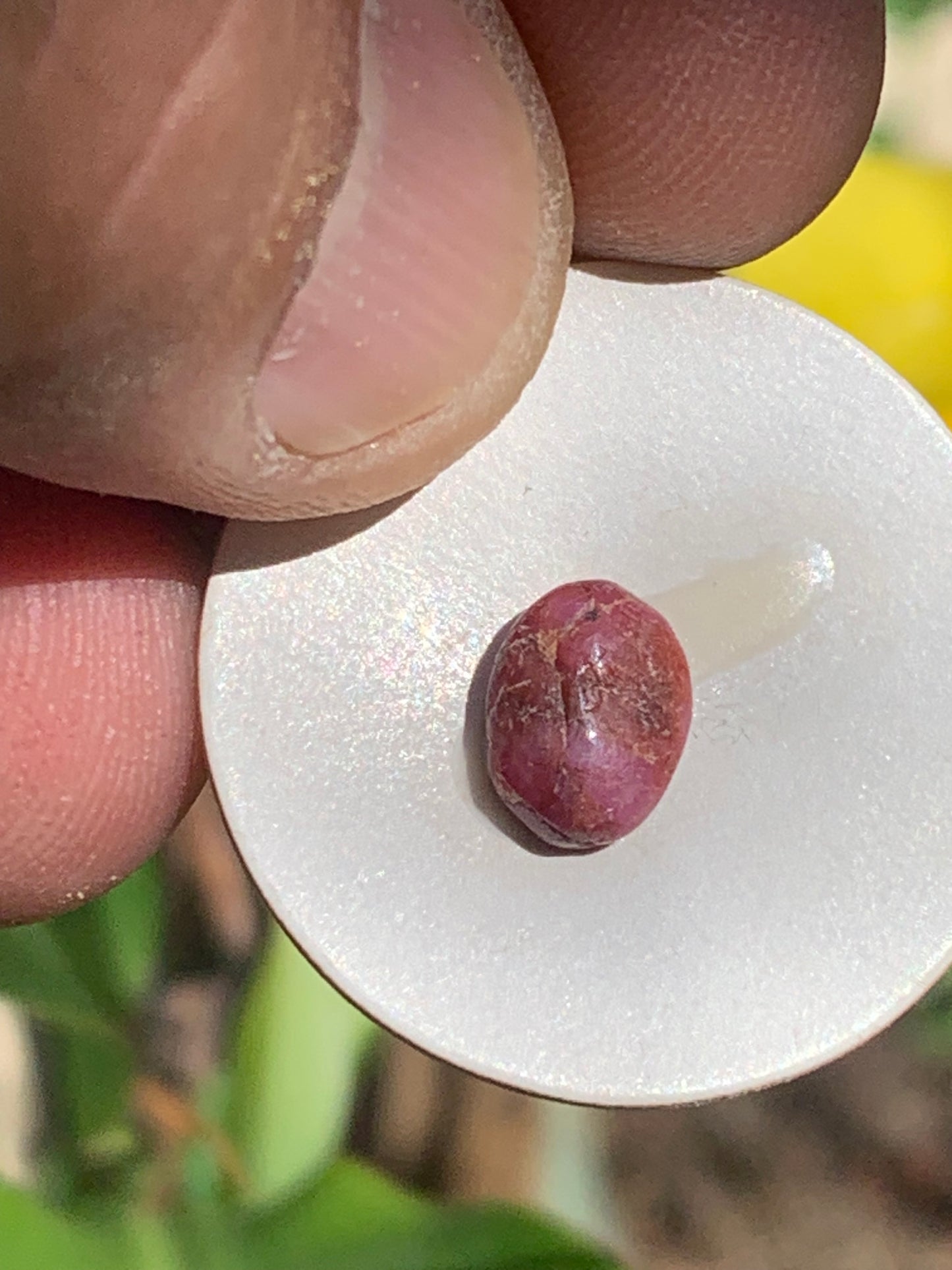 Rubis, cabochon de 10mm x7 x3 - 2,5 carats. Parfait en bijouterie, collection ,exposition...