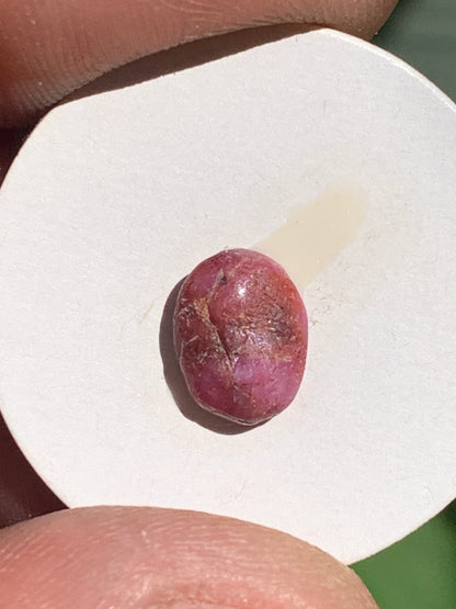 Rubis, cabochon de 10mm x7 x3 - 2,5 carats. Parfait en bijouterie, collection ,exposition...