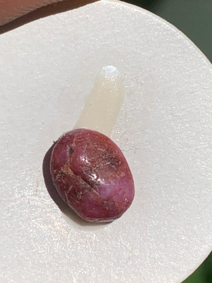 Rubis, cabochon de 10mm x7 x3 - 2,5 carats. Parfait en bijouterie, collection ,exposition...