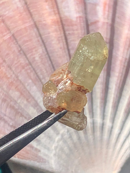 Apatite jaune, de 24mm x14 x10 environ - 16,5 carats. Parfait en bijouterie, collection ,exposition...