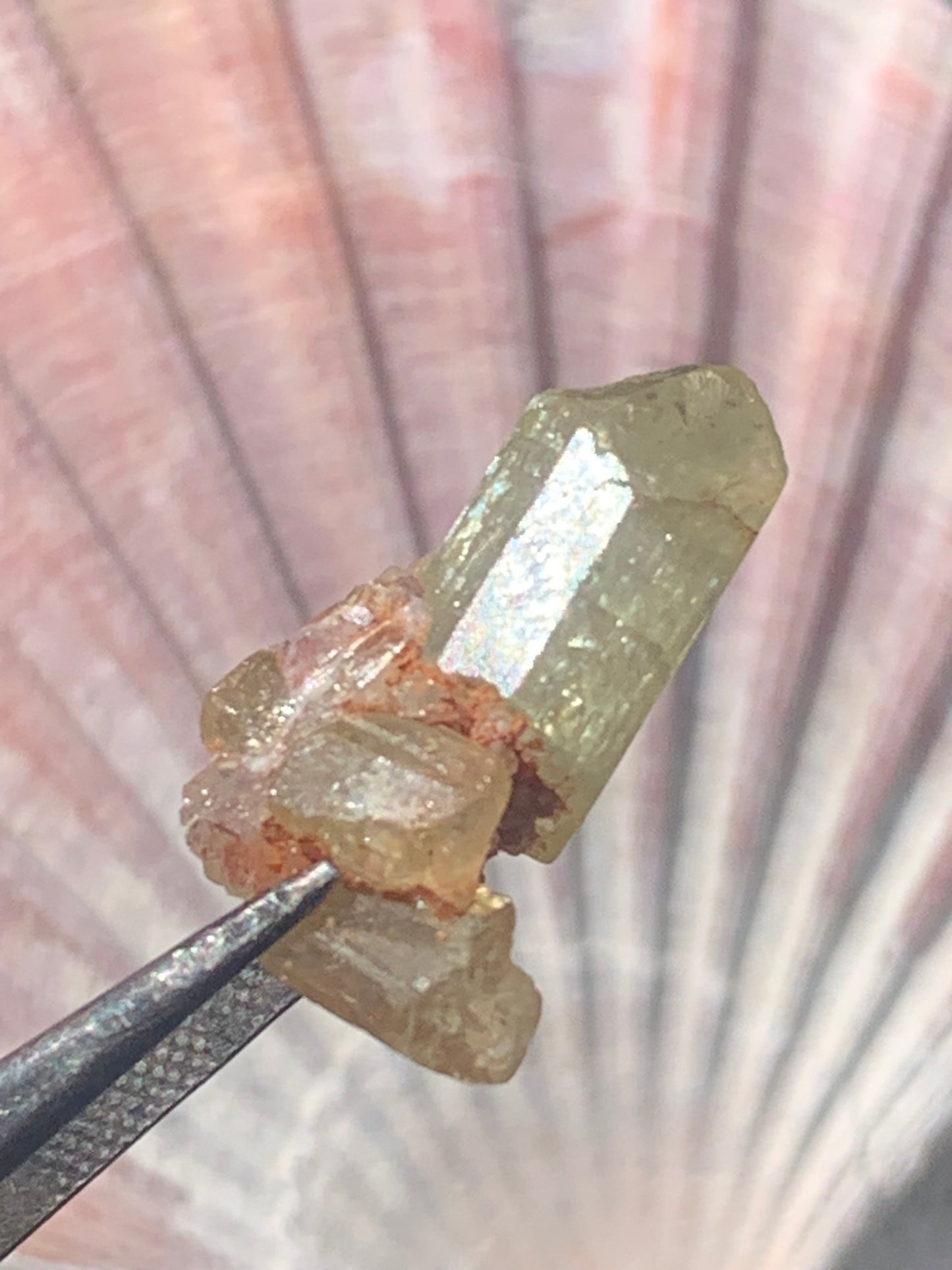 Apatite jaune, de 24mm x14 x10 environ - 16,5 carats. Parfait en bijouterie, collection ,exposition...