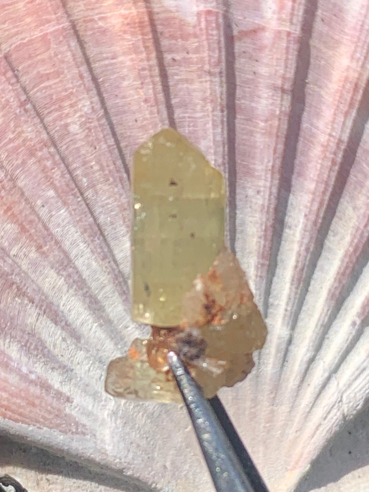 Apatite jaune, de 24mm x14 x10 environ - 16,5 carats. Parfait en bijouterie, collection ,exposition...