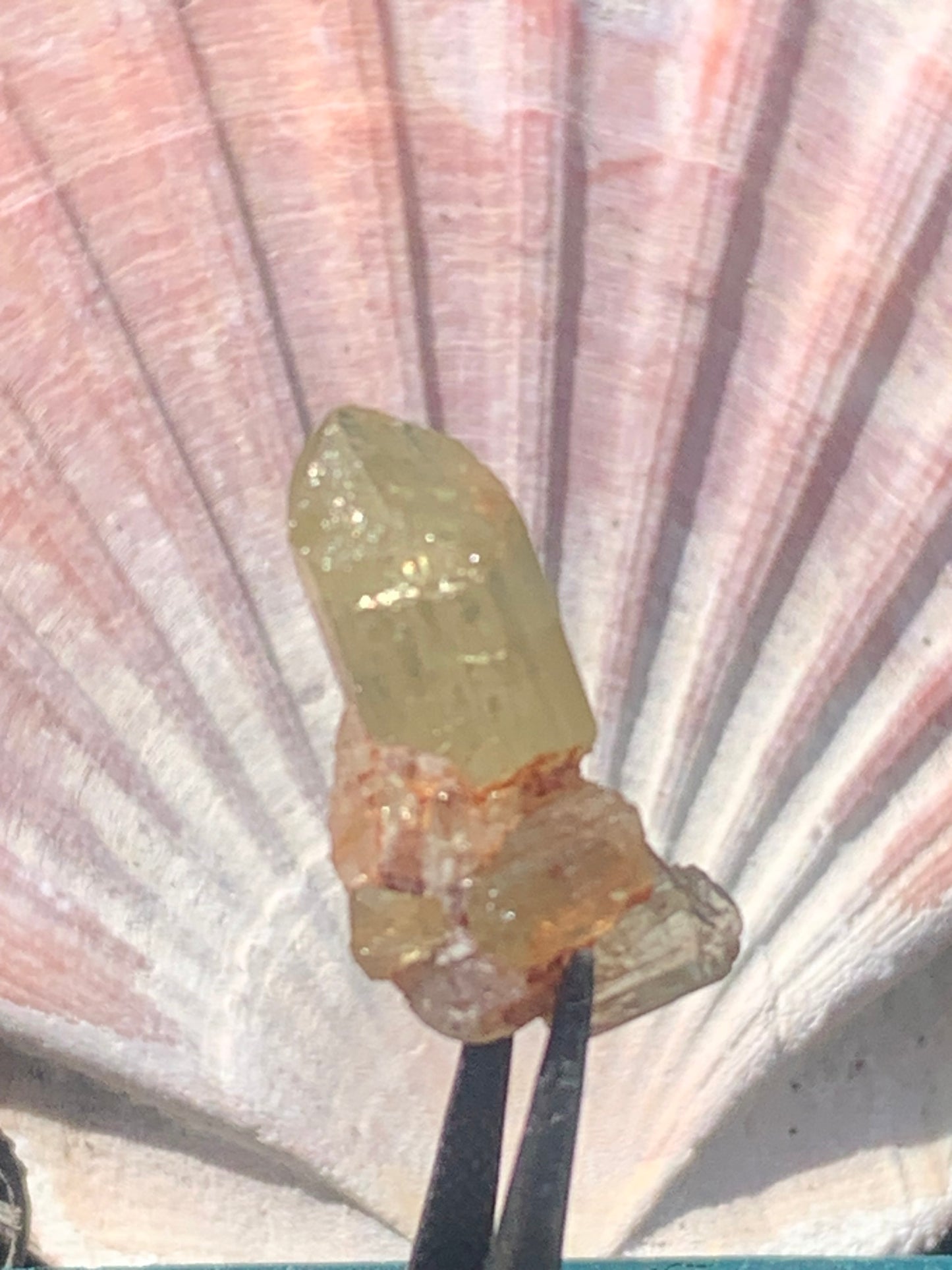 Apatite jaune, de 24mm x14 x10 environ - 16,5 carats. Parfait en bijouterie, collection ,exposition...