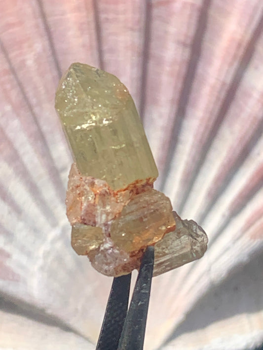 Apatite jaune, de 24mm x14 x10 environ - 16,5 carats. Parfait en bijouterie, collection ,exposition...