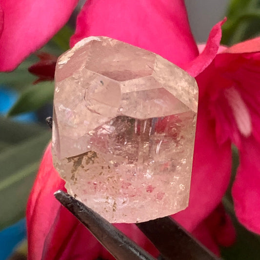 Topaze Impériale, superbe cristal naturel de 21mm x18 x12 - 11 grammes/ 55 carats. Belle pièce de collection, unique et assez rare sur le marché !