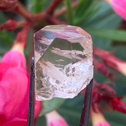 Topaze Impériale, superbe cristal naturel de 15mm x12 x11 - 4,6 grammes/ 23 carats. Belle pièce de collection, unique et assez rare sur le marché !