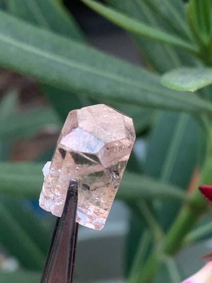 Topaze Impériale, superbe cristal naturel de 15mm x12 x11 - 4,6 grammes/ 23 carats. Belle pièce de collection, unique et assez rare sur le marché !