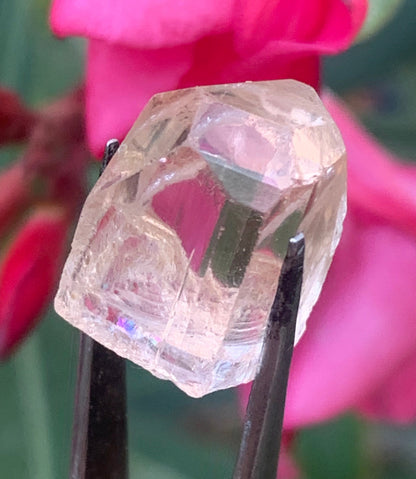 Topaze Impériale, superbe cristal naturel de 15mm x11 x10 - 4,1 grammes/ 20,5 carats. Belle pièce de collection, unique et assez rare !