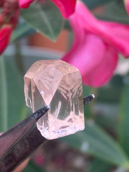 Topaze Impériale, superbe cristal naturel de 15mm x11 x10 - 4,1 grammes/ 20,5 carats. Belle pièce de collection, unique et assez rare !