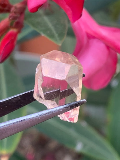 Topaze Impériale, superbe cristal naturel de 15mm x11 x10 - 4,1 grammes/ 20,5 carats. Belle pièce de collection, unique et assez rare !