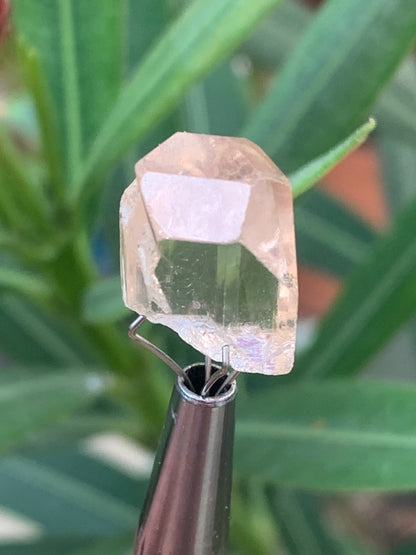 Topaze Impériale, superbe cristal naturel de 15mm x11 x10 - 4,1 grammes/ 20,5 carats. Belle pièce de collection, unique et assez rare !