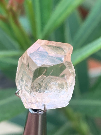 Topaze Impériale, superbe cristal naturel de 15mm x11 x10 - 4,1 grammes/ 20,5 carats. Belle pièce de collection, unique et assez rare !