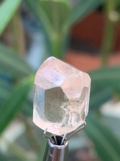 Topaze Impériale, superbe cristal naturel de 15mm x10 x10 - 3,9 grammes/ 19,5 carats. Belle pièce de collection, unique et assez rare !