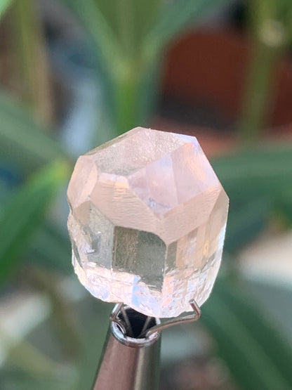 Topaze Impériale, superbe cristal naturel de 15mm x10 x10 - 3,9 grammes/ 19,5 carats. Belle pièce de collection, unique et assez rare !