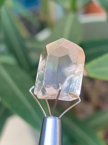 Topaze Impériale, superbe cristal naturel de 15mm x10 x10 - 3,9 grammes/ 19,5 carats. Belle pièce de collection, unique et assez rare !