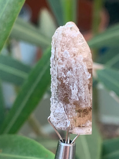 Topaze Impériale, superbe cristal naturel de 27mm x12 x10 - 4,5 grammes. Belle pièce de collection, unique et assez rare !