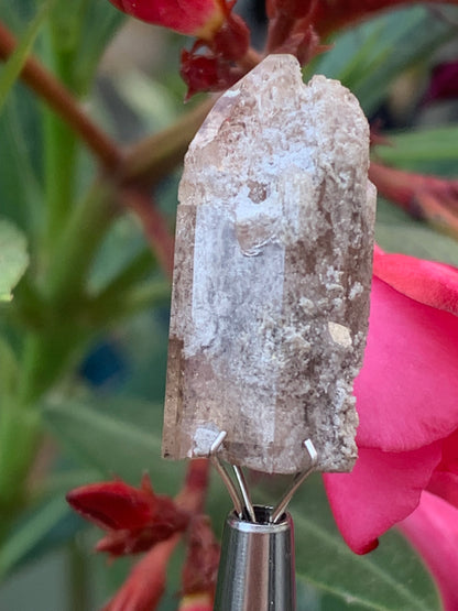 Topaze Impériale, superbe cristal naturel de 27mm x12 x10 - 4,5 grammes. Belle pièce de collection, unique et assez rare !