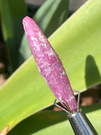 Rubis 'navette' de Mauritanie, cristaux bruts vendus a l'unité ou en lot, d'environ de 24mm x6 x 6 - 6,1 grammes (lot). Parfait en bijouterie, collection ,exposition...