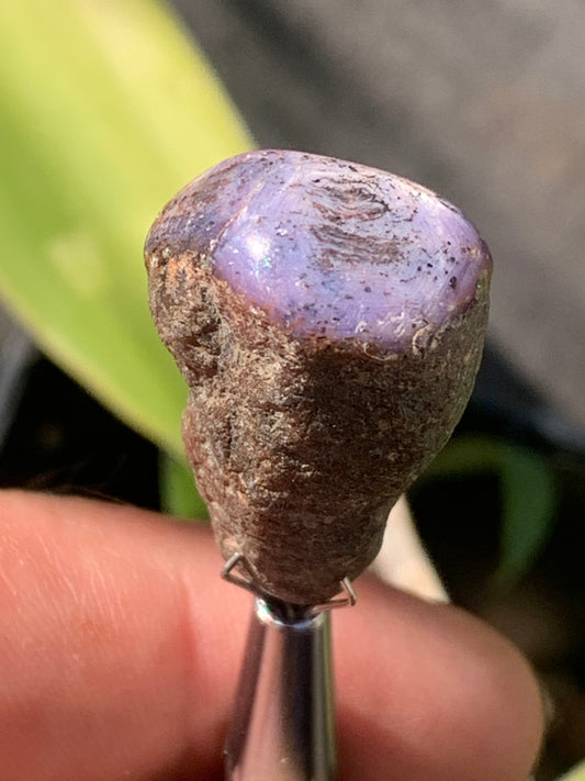 Rubis étoilé semi poli de 29mm x18 x14 - 12,1 grammes. Parfait en bijouterie, collection ,exposition...