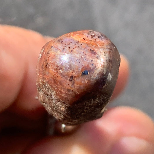 Rubis étoilé semi poli, de 25mm x14 x12 - 9,1 grammes. Parfait en bijouterie, collection ,exposition...