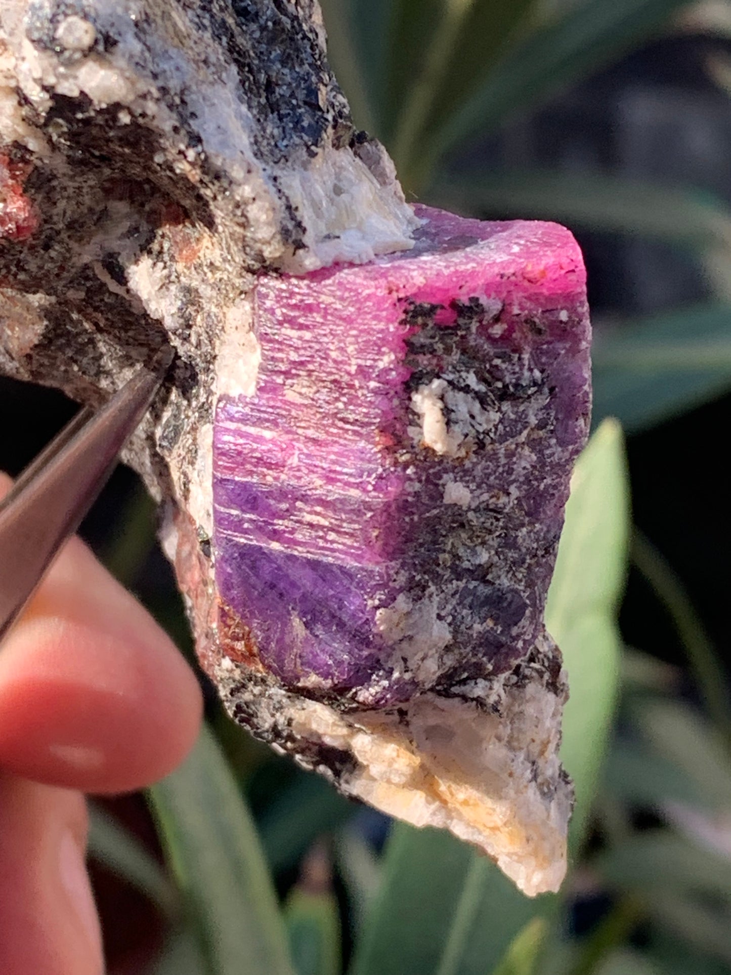 Rubis sur gangue de Zoisite, 74mm x43 x 23 - 76 grammes. Parfait en collection, exposition, lapidage...