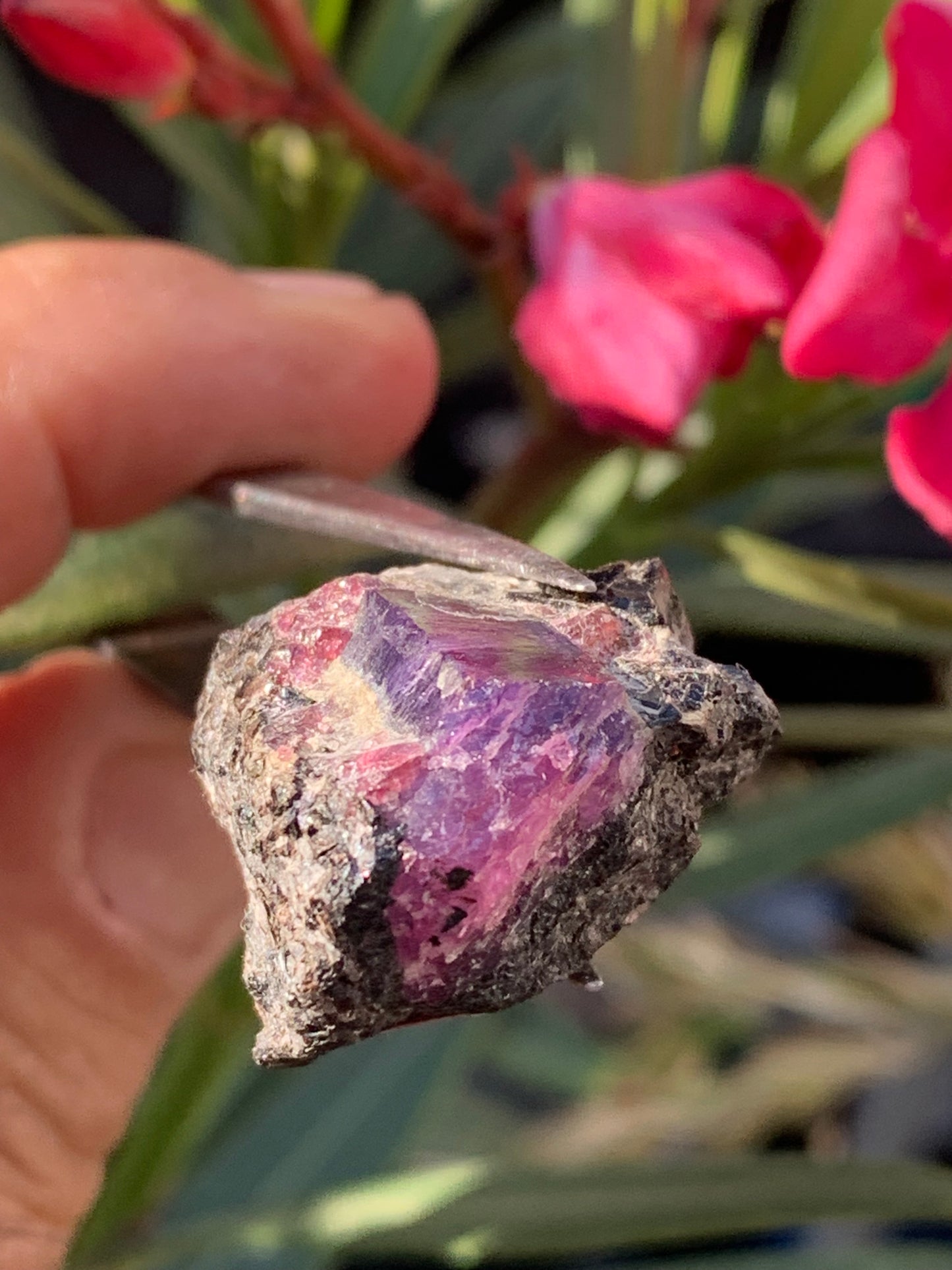 Rubis sur gangue de Zoisite, 27mm x23 x 20 - 17,1 grammes. Parfait en collection, exposition, lapidage...