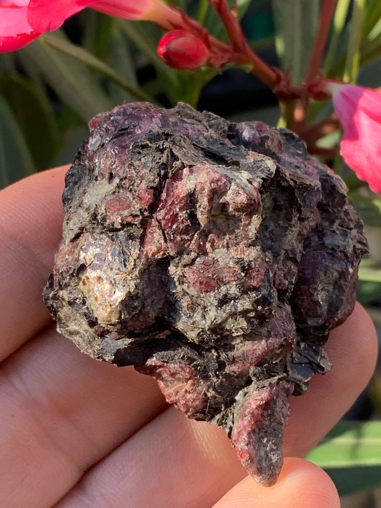 Rubis sur gangue de Zoisite, 58mm x46 x 29 - 65 grammes. Parfait en collection, exposition, lapidage...