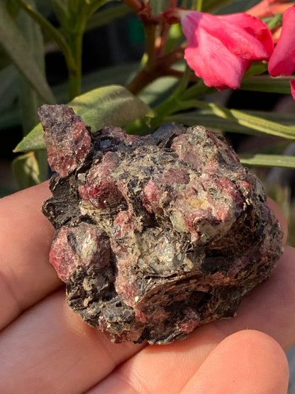 Rubis sur gangue de Zoisite, 58mm x46 x 29 - 65 grammes. Parfait en collection, exposition, lapidage...