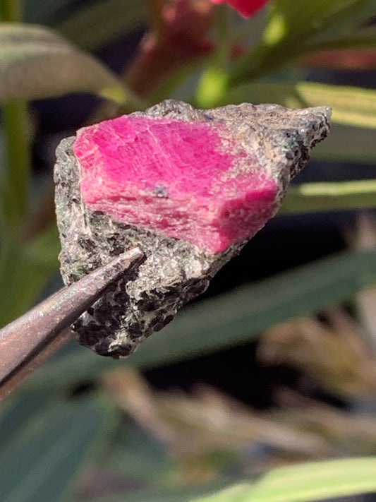 Rubis sur gangue de Zoisite, 24mm x20 x 18 - 7,1 grammes. Parfait en collection, exposition, lapidage...